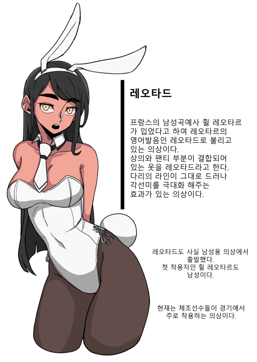 바니걸에 대해 알아보는 만화.jpg | 인스티즈