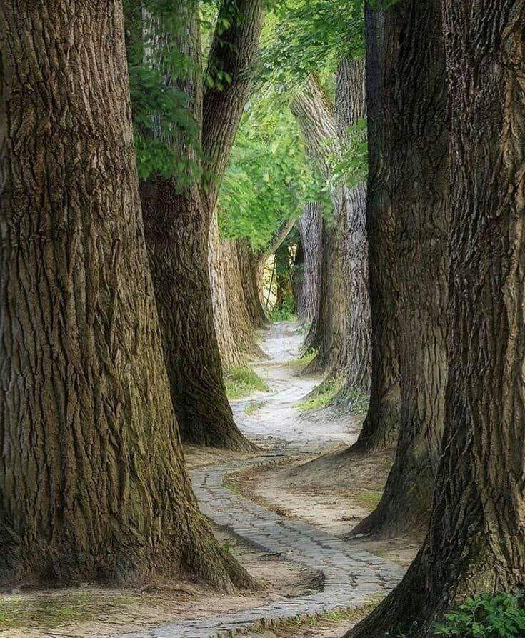 자연이 사람에게 맞추는 것이 아닌 사람이 자연에게 맞추는 것.jpg | 인스티즈