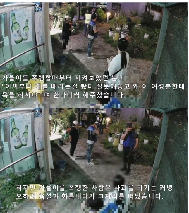 보배드림 강아지 폭행사건.jpg | 인스티즈