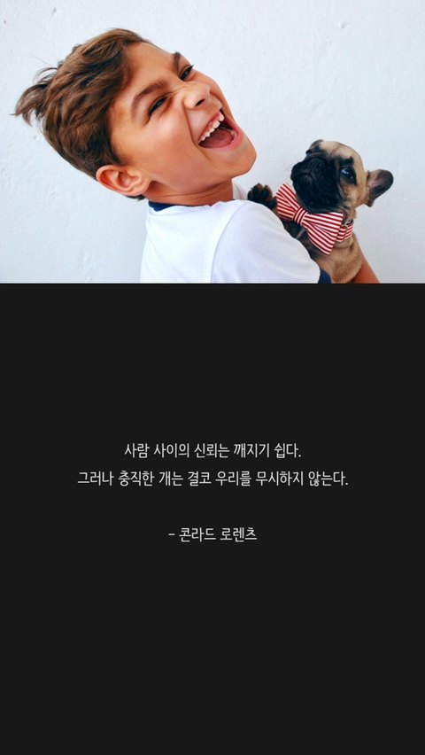 반려견에 관한 명언 | 인스티즈