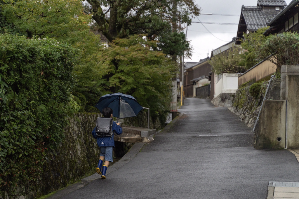 2018년 찍었던 사진 중 맘에 드는 것들 | 인스티즈