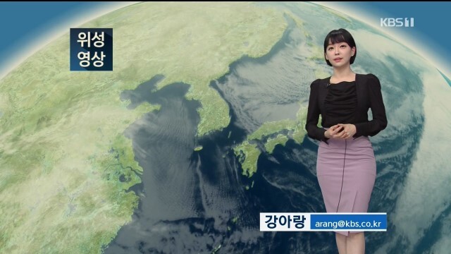 강아랑 기상캐스터 | 인스티즈