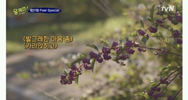 조세호 발기 레전드.jpg | 인스티즈