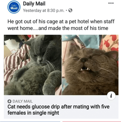 호텔에서 일어난 대참사.jpg | 인스티즈