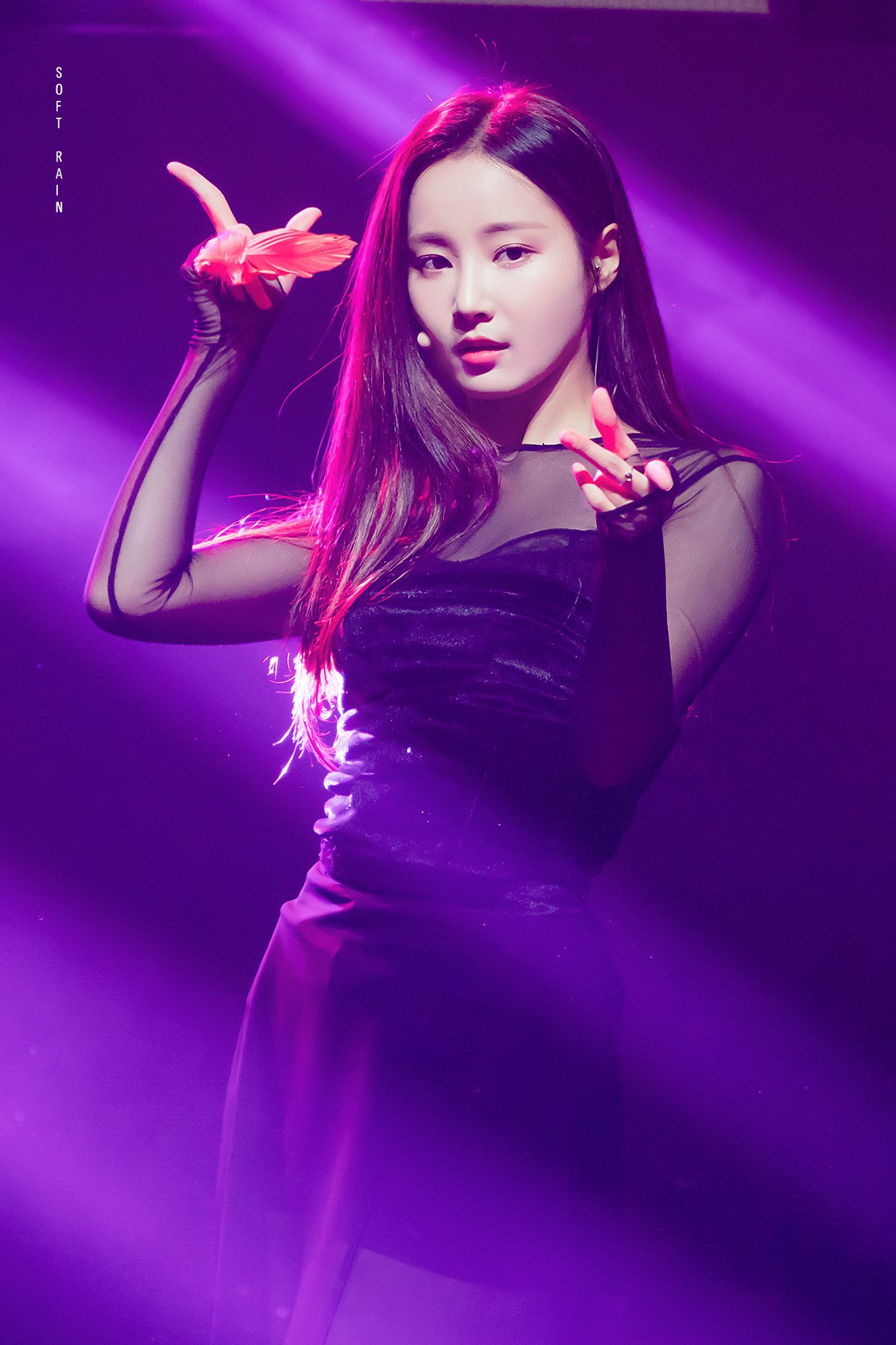 2019년 첫 모모랜드 연우.jpgif | 인스티즈