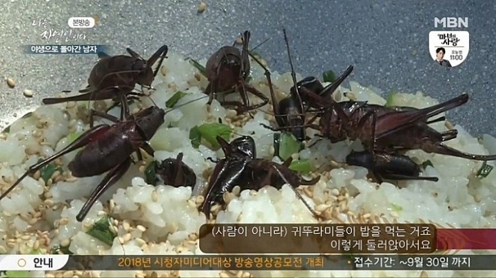 ??? : 너 이새끼 혼자 맛있는 거 먹으면서 꿀빨았겠다 | 인스티즈