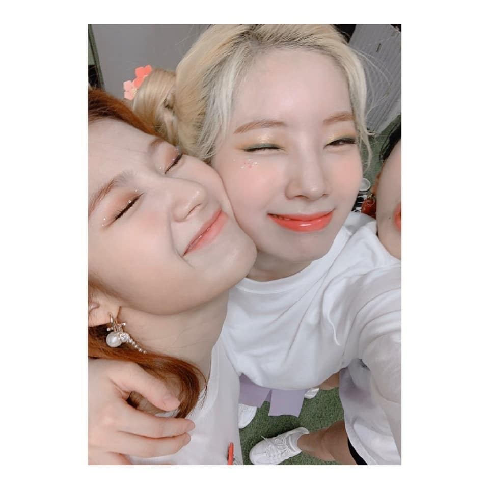 트와이스 다현이 척하는 백곰 🐻 | 인스티즈