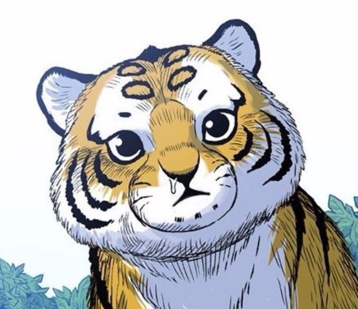 귀여운 고양이 사진 모음 | 인스티즈