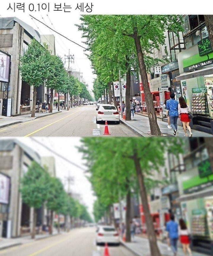 시력 0.1이 보는세상 | 인스티즈