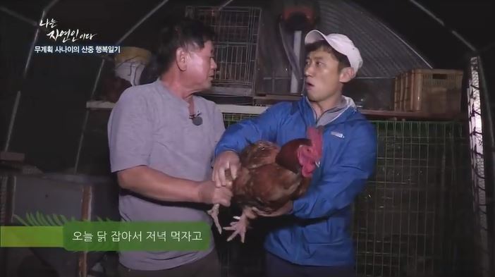 닭 잡는 자연인.jpg | 인스티즈