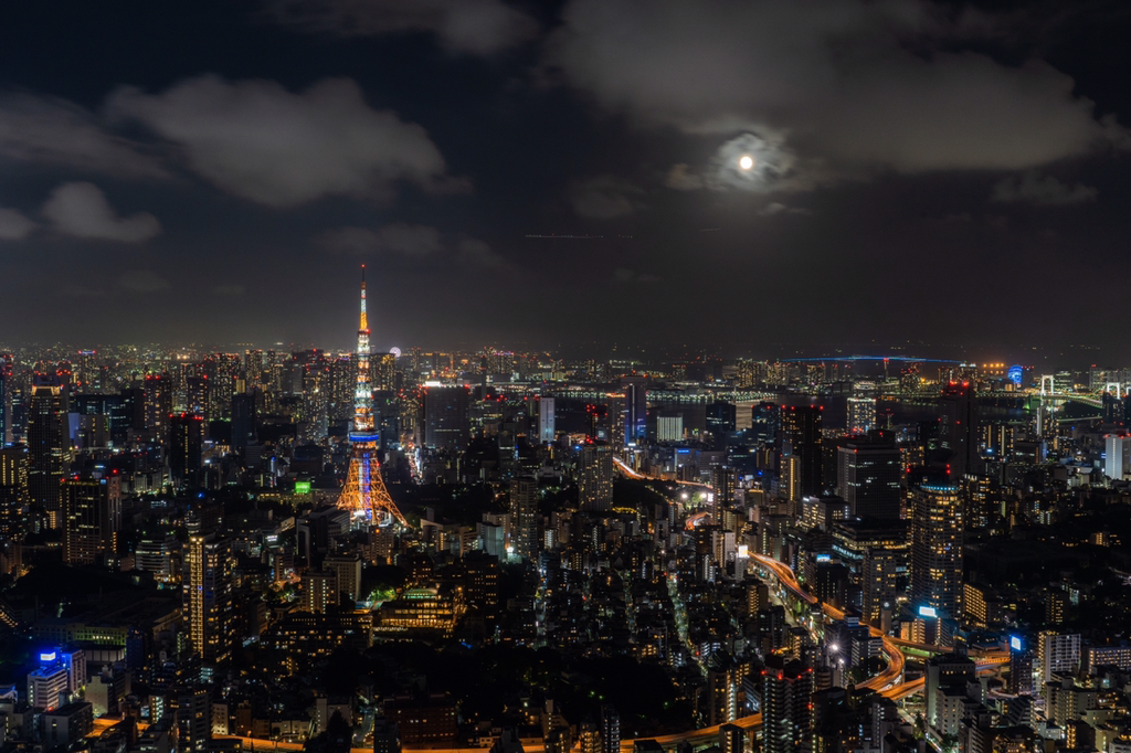 2018년 찍었던 사진 중 맘에 드는 것들 | 인스티즈