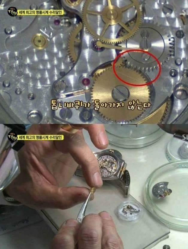 우리나라에 존재하는 명품시계 수리의 최고 장인 | 인스티즈