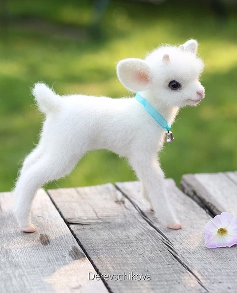 러시아 유명 동물 인형 제작자.jpg | 인스티즈