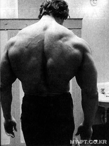 여자들이 좋아서 환장하는 남자 몸 | 인스티즈