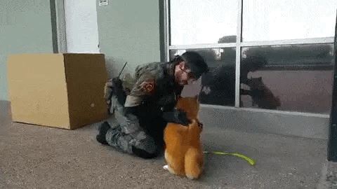 스네이크와 도그 | 인스티즈