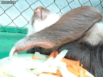 아 귀찮네.GIF | 인스티즈