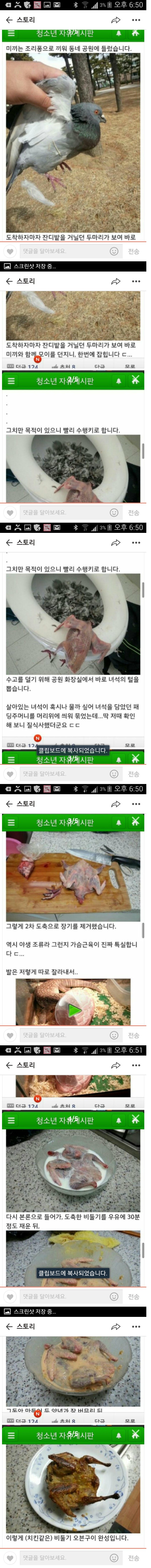 비둘기 오븐구이 만들기ㄷㄷ;; (혐오주의) | 인스티즈