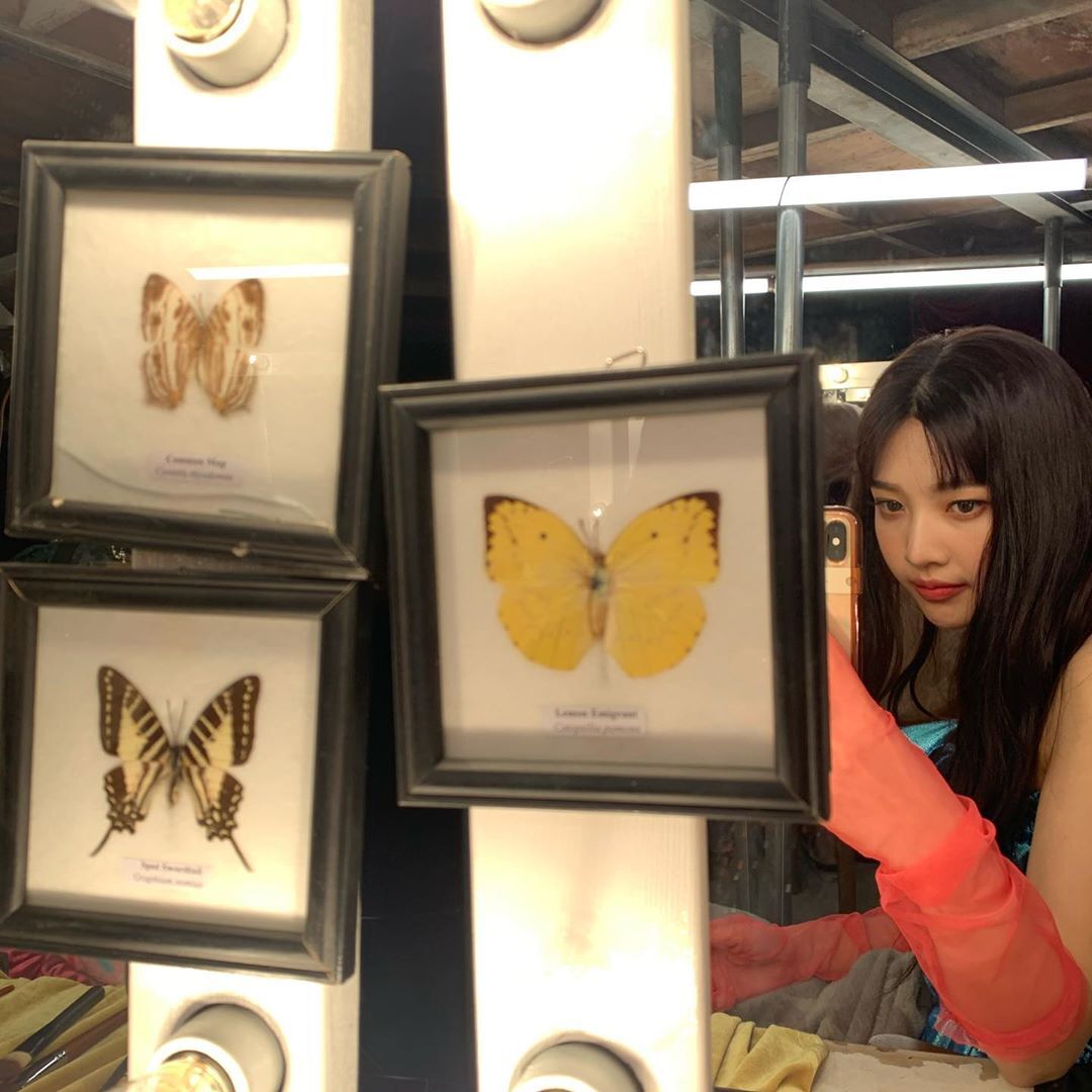 오늘자 레드벨벳 조이 인스타그램.jpg | 인스티즈