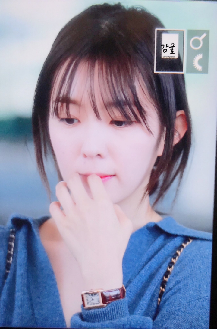 은근히 수수하게 예쁜 레드벨벳 아이린 입국사진 | 인스티즈