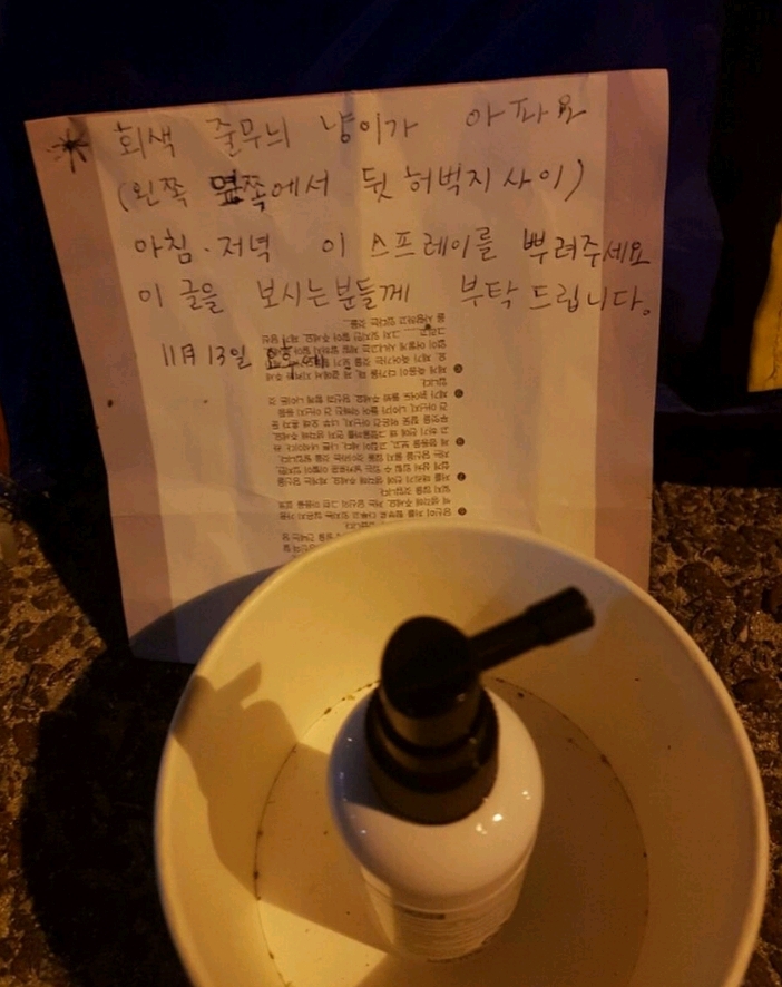 사람들이 버려진 텐트 안에 고양이를 넣어 놨다.jpg | 인스티즈