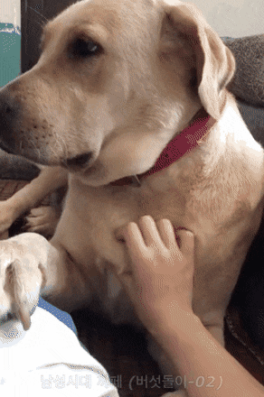 왜 만지다 말아요??.gif | 인스티즈