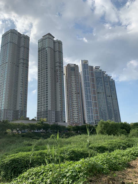 두 도시중 한곳에서 살아야한다면? 광주 vs 전주 | 인스티즈