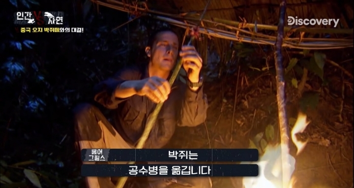 베어그릴스가 말하는 박쥐의 위험성 | 인스티즈