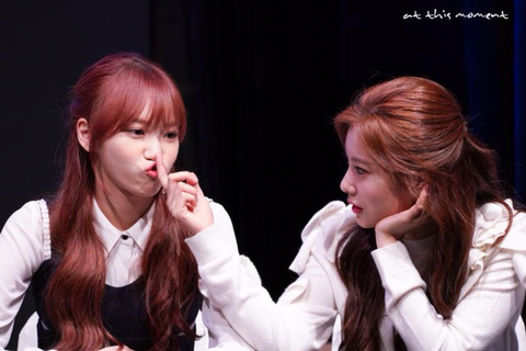 아이즈원) 워뇽광배쌈무 | 인스티즈