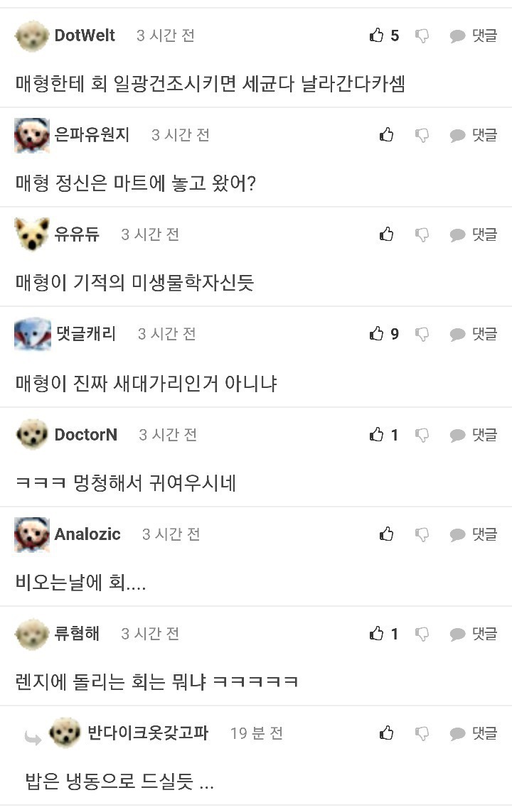 회를 전자레인지에 돌려먹자는 매형ㄷㄷ;; | 인스티즈