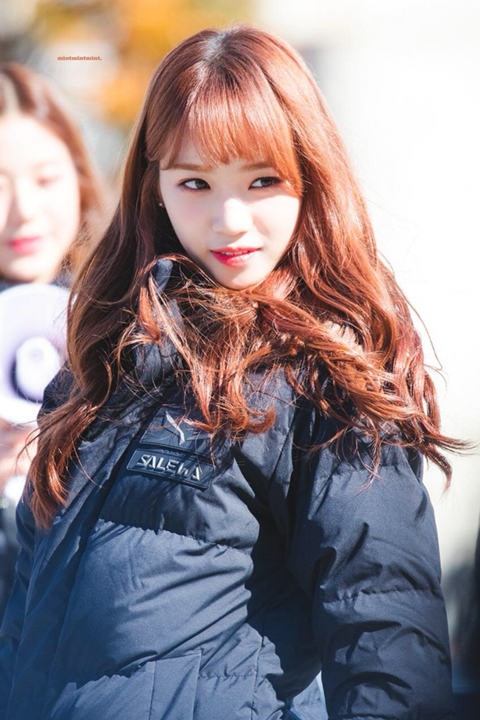 정돈가 이미지