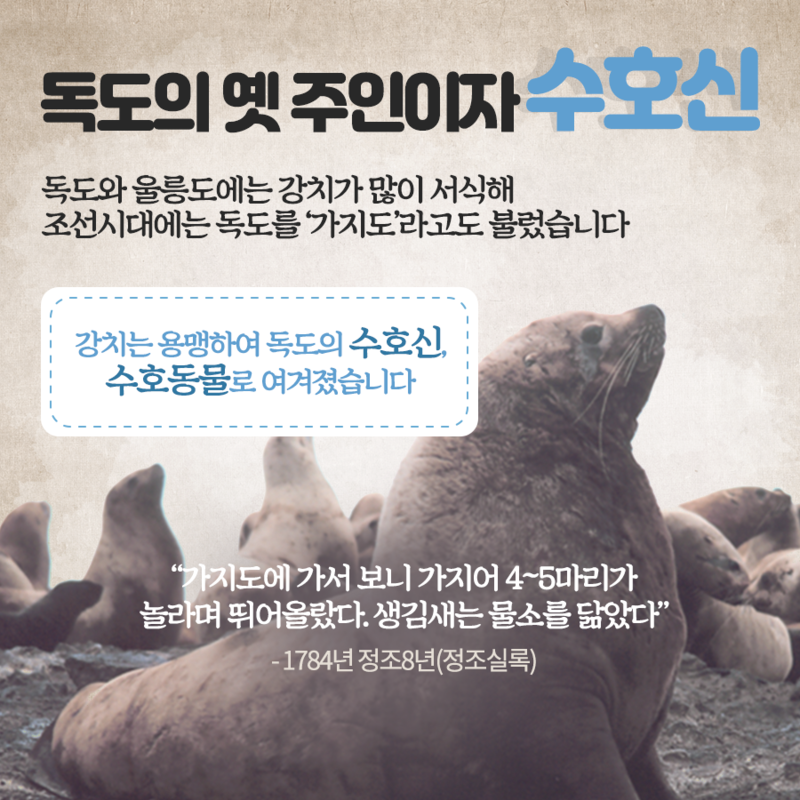 독도 바다사자 강치를 아시나요? | 인스티즈