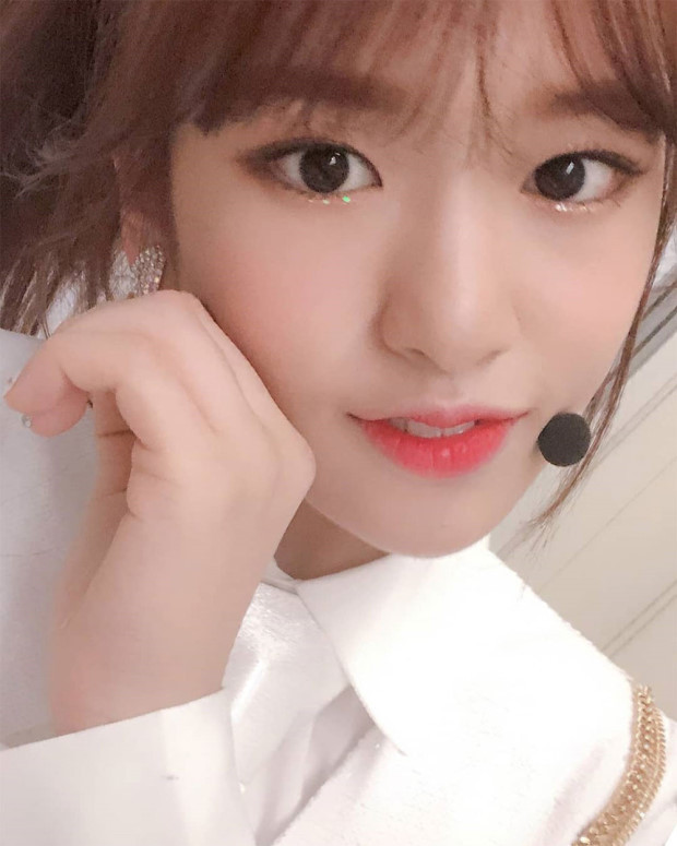 아이즈원 대형견 안댕댕.jpgif | 인스티즈