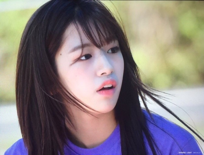 아이즈원 대형견 안댕댕.jpgif | 인스티즈
