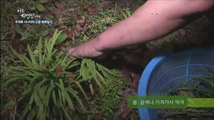 닭 잡는 자연인.jpg | 인스티즈