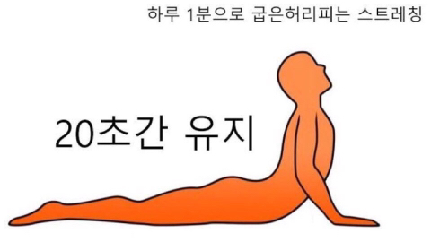 하루 1분으로 척추펴기.jpg | 인스티즈