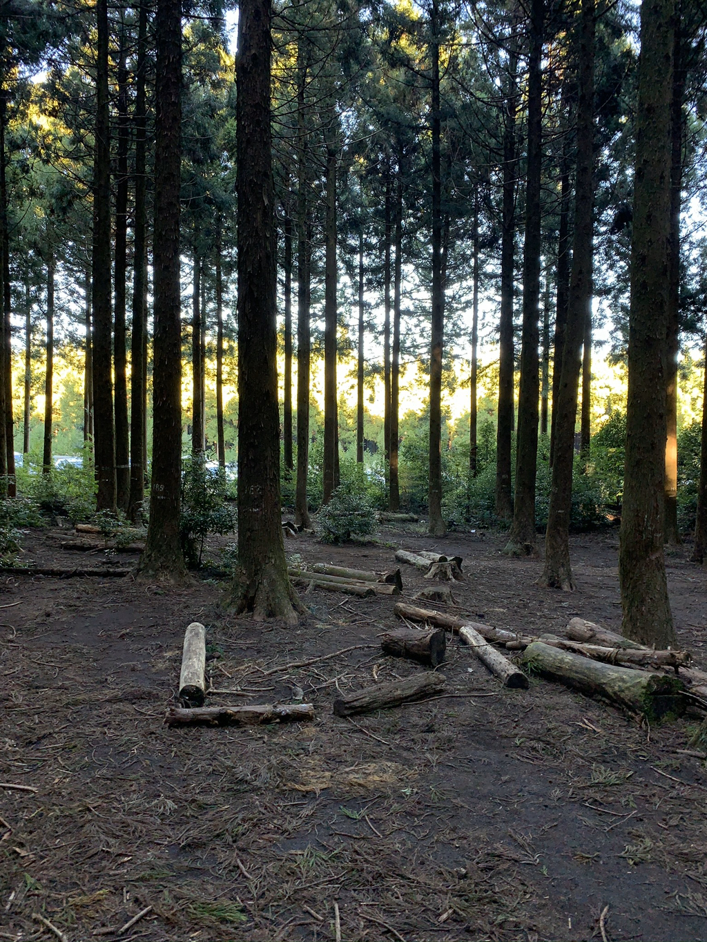 제주도 여행 마지막 날.. | 인스티즈