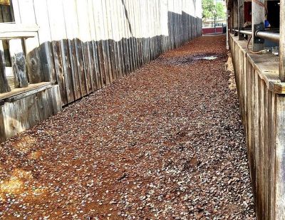 美 텍사스주 '병뚜껑 골목' | 인스티즈