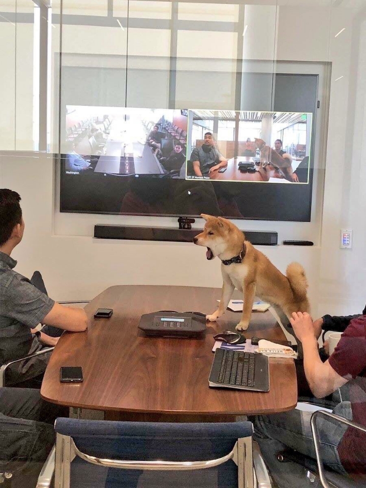 ??: 내 말이 개같니! | 인스티즈