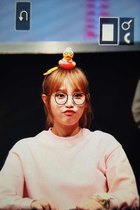 아이즈원) 다섯 아기오리와 대장오리 | 인스티즈