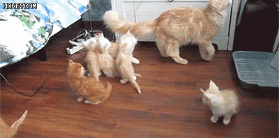 엄마하는거 잘보고 따라해봐.gif | 인스티즈