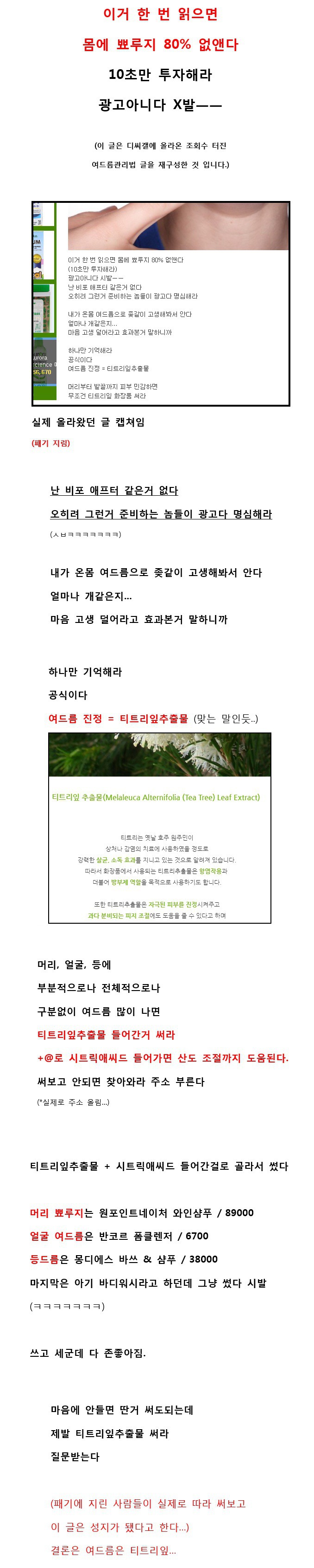 디씨인의 시원하다 못해 추워지는 뾰루지 해결법 | 인스티즈