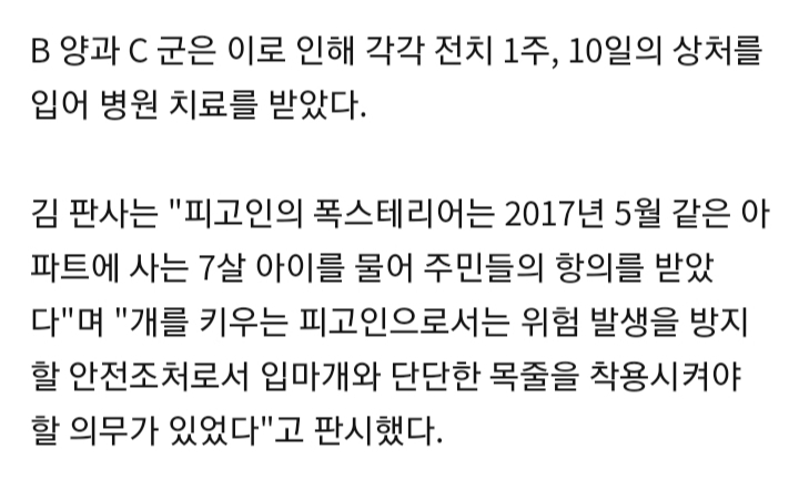 용인 폭스테리어 개물림 사고 견주 벌금 500만원 선고받아 | 인스티즈