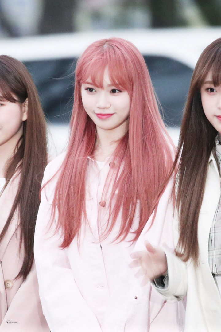 다시 보고싶은 아이즈원 자몽쌈. jpgif | 인스티즈