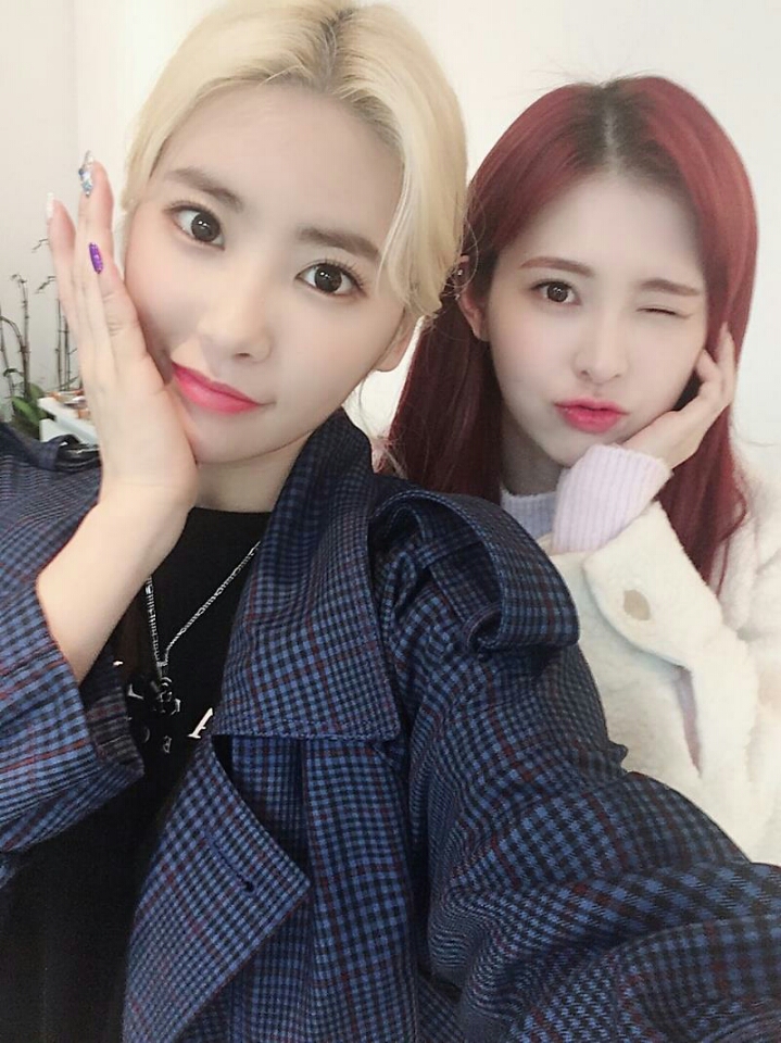 다이아 기희현 | 인스티즈