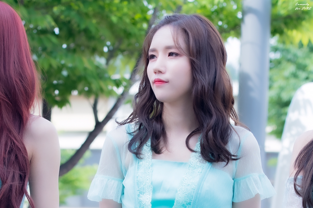 [러블리즈] 출근길에 본 은행나무가 이뻐서 명은이 | 인스티즈