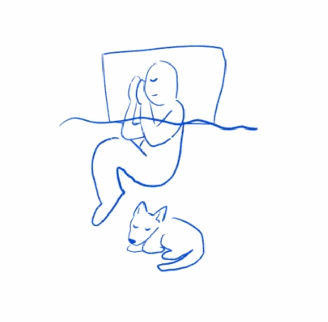 댕댕이랑 같이 잘때.gif | 인스티즈