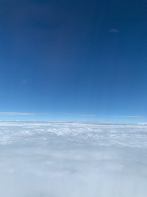 제주 여행 첫째날 | 인스티즈