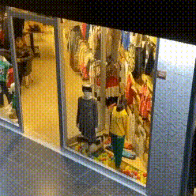 상점에 들이닥친 길냥이.gif | 인스티즈