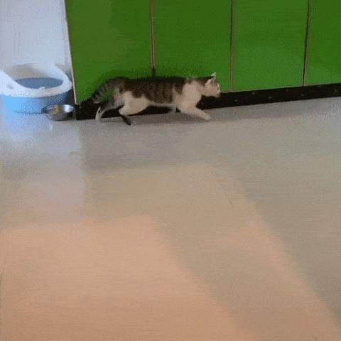 걷는데 걷지 않는다.gif | 인스티즈