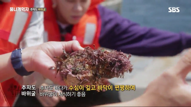 추자도 바위굴 먹는 트와이스 정연X다현.jpg | 인스티즈